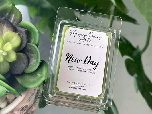 "NEW DAY" / BAMBOO & CACTUS FLOWER MELTS